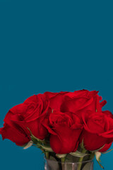Red roses on dark turquoise background. Floral backdrop. Bouquet of red flowers on a blue background.
