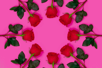 Red rose pink background. Juicy colorful floral background.