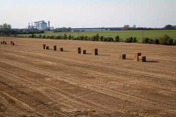 Obraz premium Strohballen sind gestapelt zum Abtransport auf einem Acker.