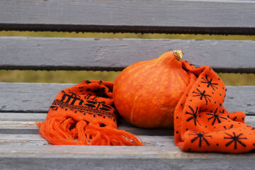 orange pumpkin in an orange scarf on a gray bench