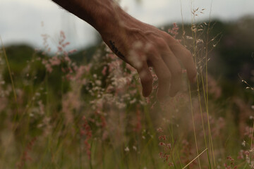 Selective focus shot of a man's hand touching flowers of wild grass
