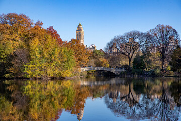 Trees and buildings reflect off the Lake in Central Park, New York City
