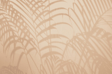 Light and shadow green leaves,palm leaf on sand color grunge wall concrete background.Silhouette flat lay abstract tropical leaf natural pattern summer texture with copy space.Soft image backdrop.