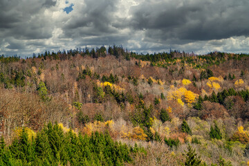 Landschaft im Herbst