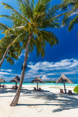 Tropical beach in Maldives with palm trees and vibrant lagoon