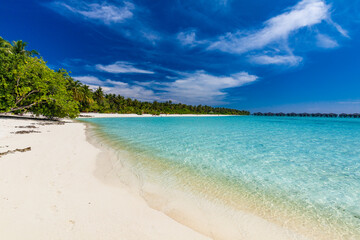 Tropical beach in Maldives with palm trees and vibrant lagoon