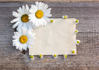 background for the text of craft paper on a wooden background with large and small daisies