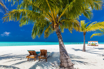 Tropical beach in Maldives with palm trees and vibrant lagoon