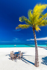 Tropical beach in Maldives with palm trees and vibrant lagoon