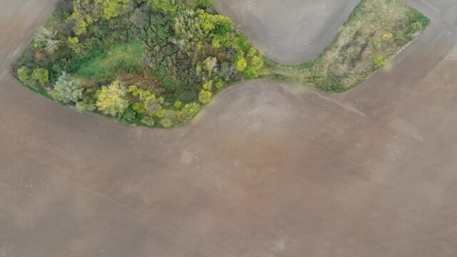 Rybi Gaj, Las w kształcie ryby pośrodku pola, widziany tylko zlotu ptaka. Wielkopolska