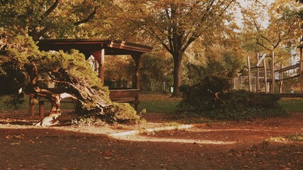 Japanese gazebo - autumn in the park