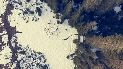 Aerial view of winter forest meadow covered in snow.