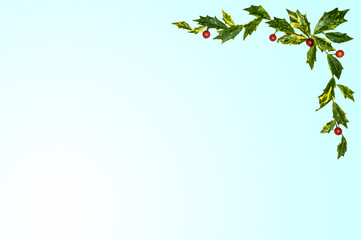 agrifoglio 01 - cornice foglie di agrifoglio e bacche rosso su sfondo chiaro. © Daniele