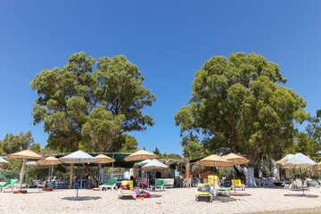 Two very big trees near the sea and chairs, tables are under their shadow. Umbrellas and sunbeds are on the sand in the beach. Trees are making shadows and people are enjoying the shadow in summer.