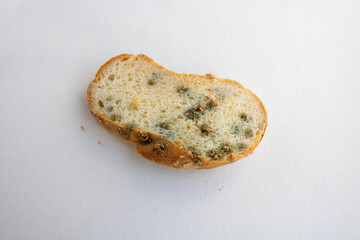 Photo of a piece of white bread covered with mold on a white background