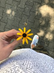 Flower in my hand
