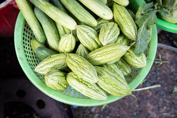 Fresh bitter gourd  in basket at market in Ho Chi Minh City in Vietnam.