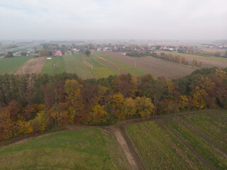 Jesienny krajobraz Mazowsza/Autumn landscape of Mazovia