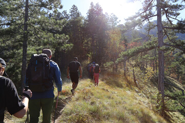 Obraz premium hiking in the woods