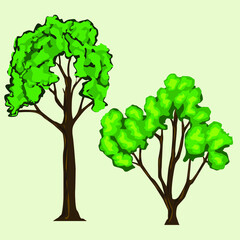 green tree with green leaves