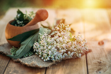 Fresh valerian flowers in wooden plate on table. mortar with prepared potion of valerian root. use of medicinal plants in traditional medicine.