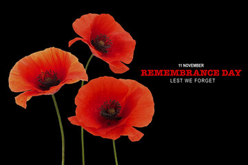 Remembrance day banner. Poppy flower on black background.