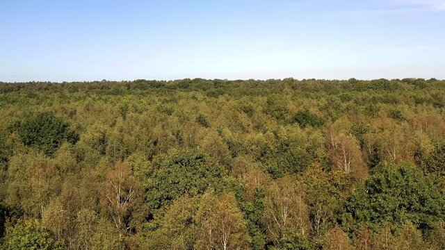 survol de la For&ecirc;t de Rambouillet
