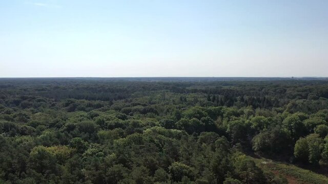 survol de la For&ecirc;t de Rambouillet