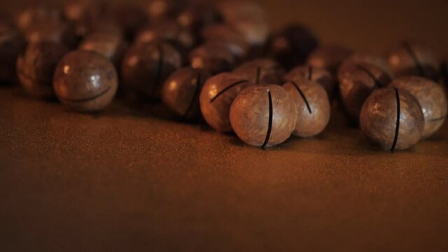 Australian walnut close-up. Macadamia nuts roll over to other orchids in a dark room against a dark background. Water drops fall on the nuts. Large brown macadamia nuts are on the table.