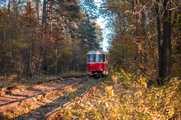 Naklejka na ściany i meble tram in the forest. rails in the autumn forest