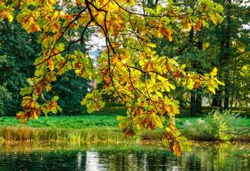 Beautiful parks of Saint-Petersburg, Russia in the golden autumn season