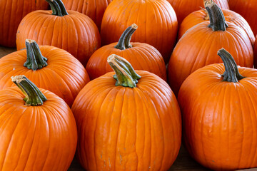 Orange Pumpkins for Sale