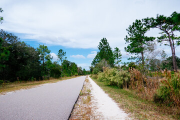 Fototapeta na wymiar Autumn landscape of Tampa, Florida