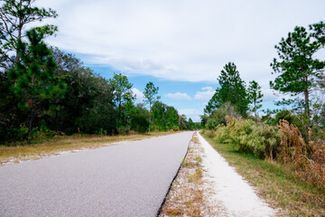 Fototapeta na wymiar Autumn landscape of Flatwood park in Tampa, Florida