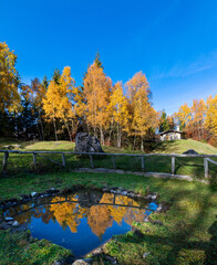 Obraz premium pond where nature is reflected