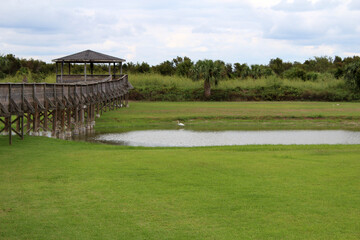 Fototapeta na wymiar Walkway in the marsh