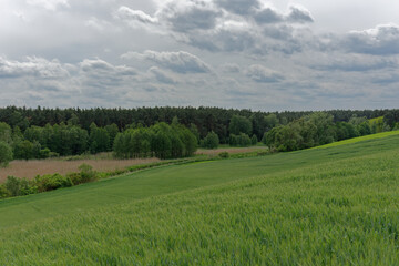 View of the green river valley and forest.