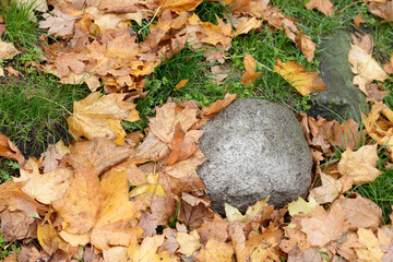 A stone lying on the grass and autumn leaves.