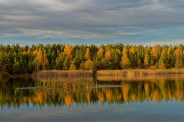 Colorful autumn trees by the lake at sunset.
