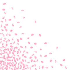 Sakura petals falling down. Romantic pink silky sm