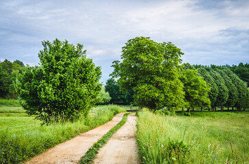 Road in the countryside