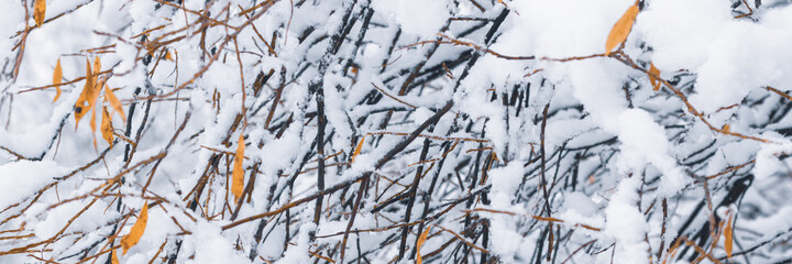 Snow on the branches of trees and bushes after a snowfall. Beautiful winter background with snow-covered trees. Autumn leaves on plants in a forest park. Cold snowy weather. Cool texture of fresh snow