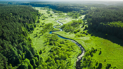 Stunning aerial view of winding river and green swamps