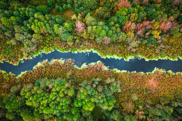 Blue river and swamp in autumn, aerial view