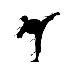 Kick martial art splash silhouette design vector
