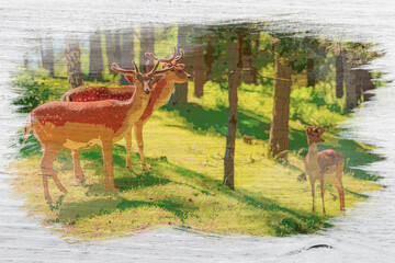 Fototapety  Beautiful deers in forest at dawn, watercolor painting
