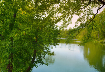 Lake framed by tree branches. Kyiv. Ukraine. Pushcha-Voditsa recreational zone.