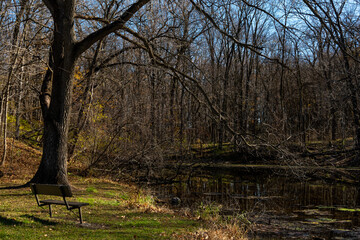 Late fall/autumn looking over the pond.  Silver Creek state park, Illinois, USA.