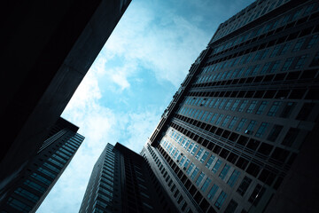 Fototapeta premium skyscraper hight building in hong kong