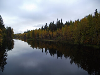 Fototapeta na wymiar reflection of trees in the river